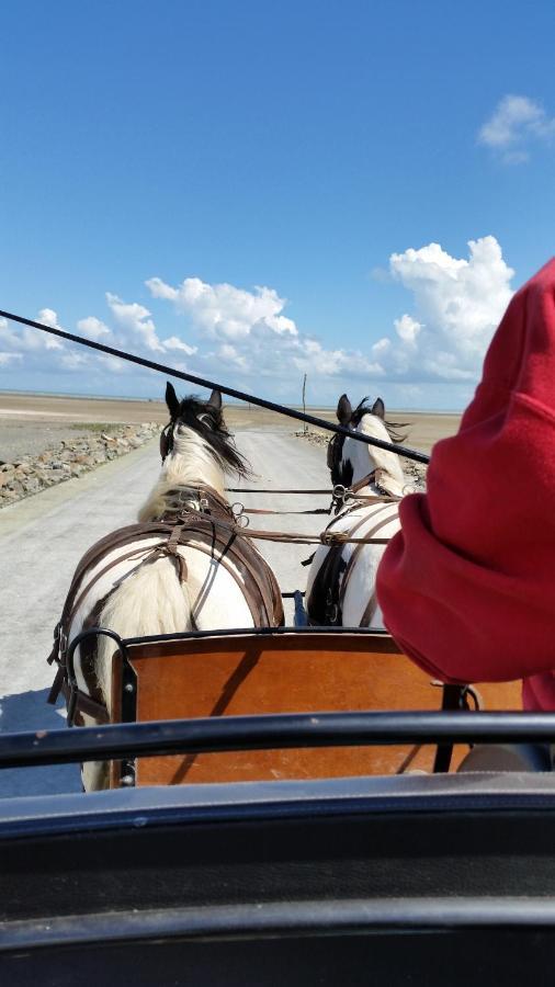 Les Chevaux De L'Hippocampe Hotel Mont-Dol Ngoại thất bức ảnh