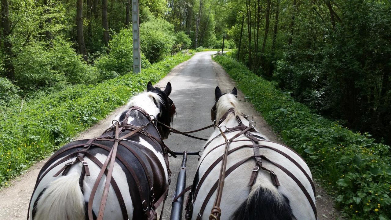 Les Chevaux De L'Hippocampe Hotel Mont-Dol Ngoại thất bức ảnh